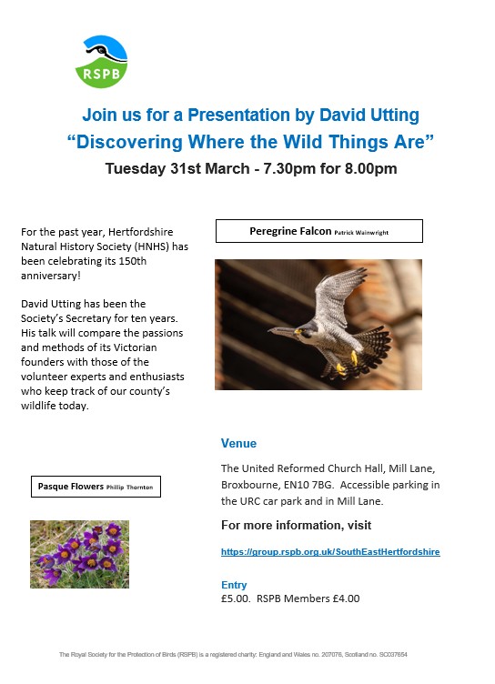 Volunteers Officer tweet media