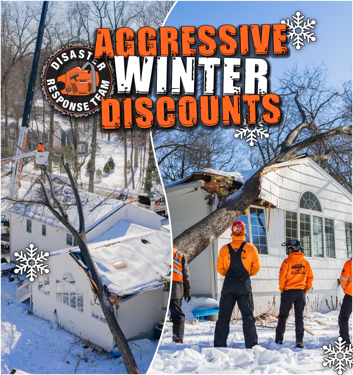 K&J Tree Service tweet media