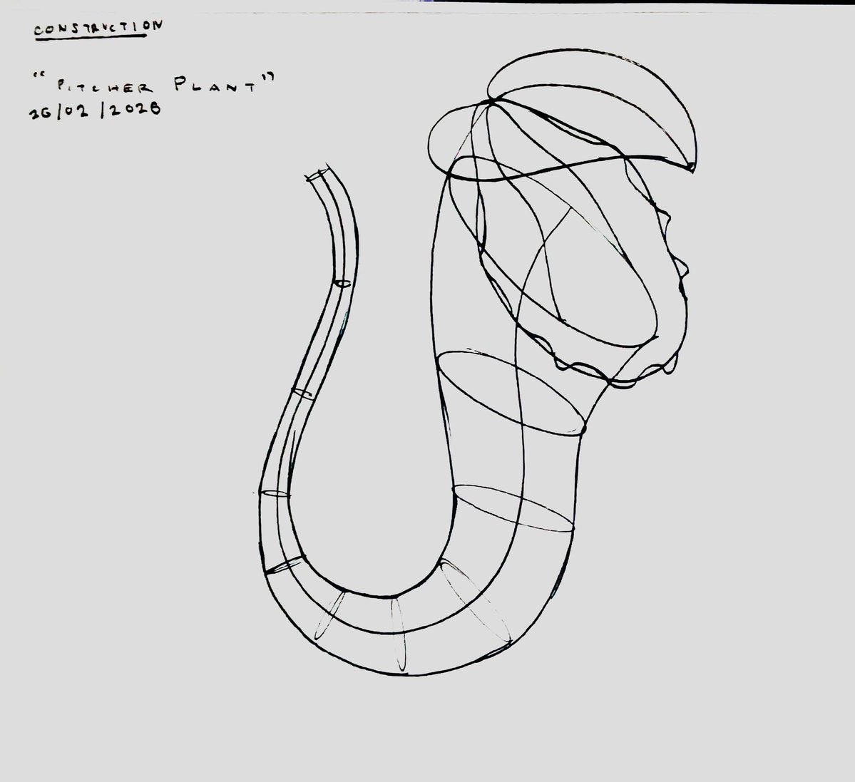 TriflingStrife tweet media