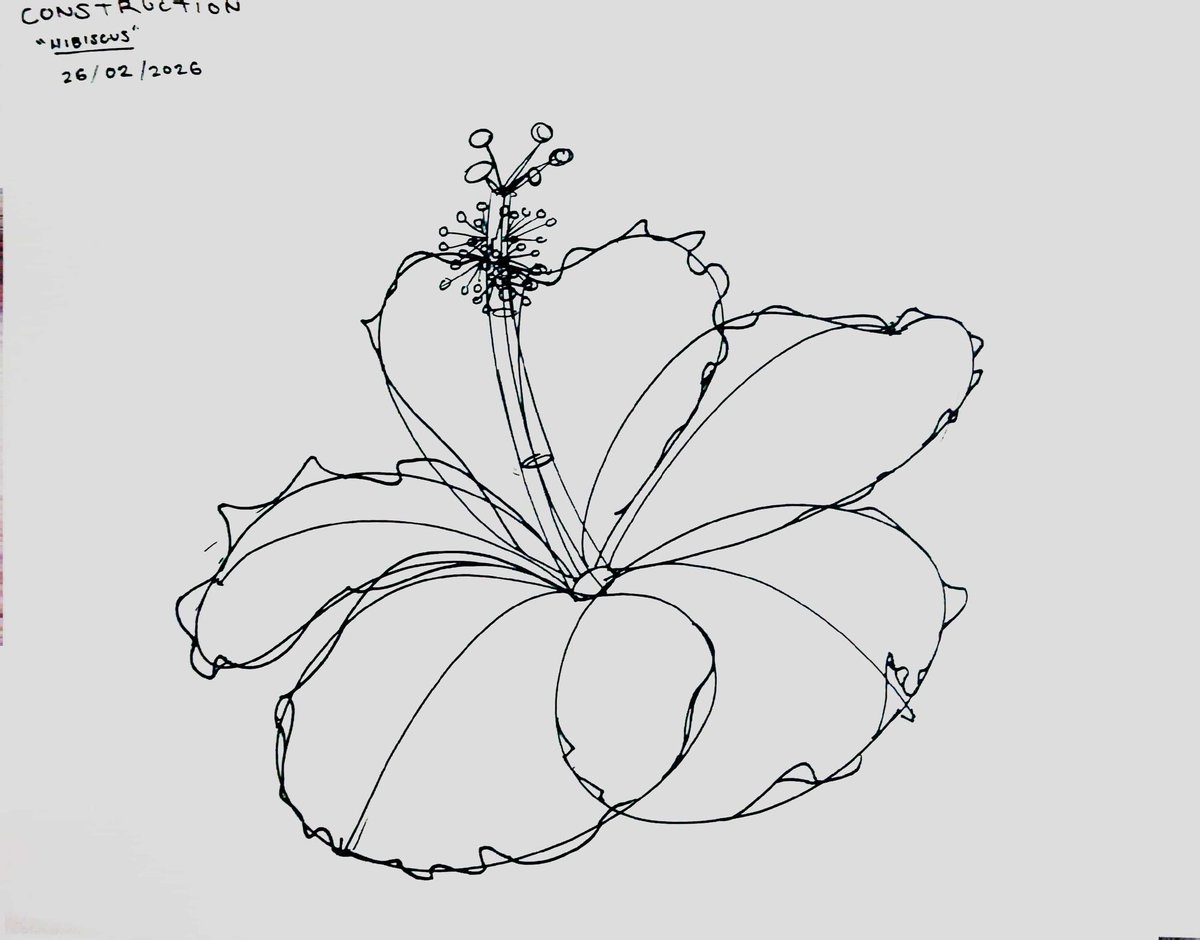 TriflingStrife tweet media