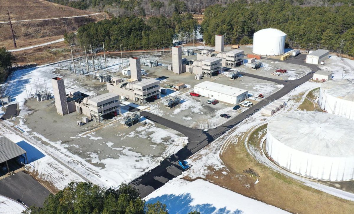 FuzzyPanda tweet media