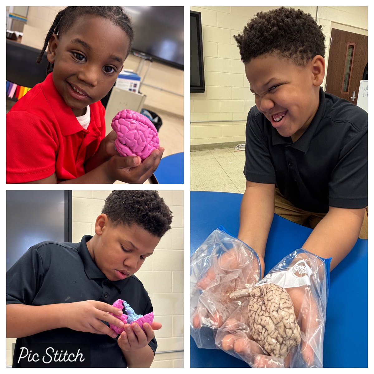 ArlingtonJmcss's tweet photo. #MemorableLessons led by our GEMS teacher @ediewbarnett may inspire our scholars to seek careers in clinical/forensic science or environmental research! #BBAM Scholars first put a brain model together,then got to hold & examine a real sheep brain! @DrShemon @suptking @JMCSchools https://t.co/MG7Uh2iOdD