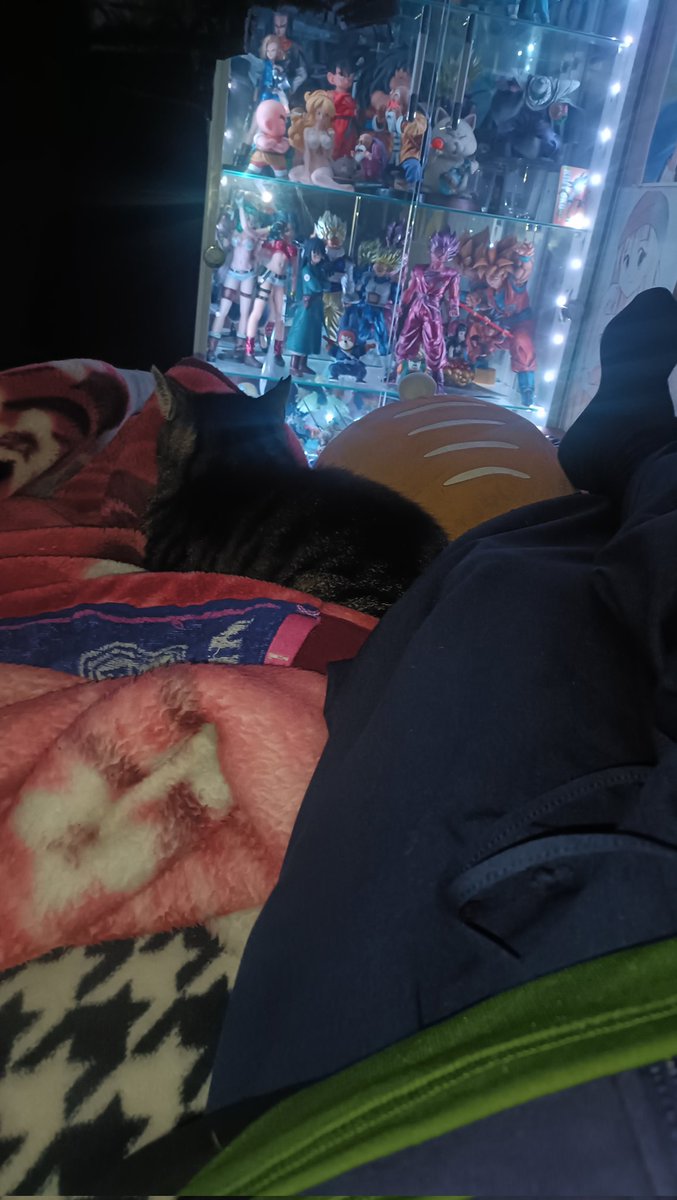 zirconia (@zc_spirit) / Posts / X