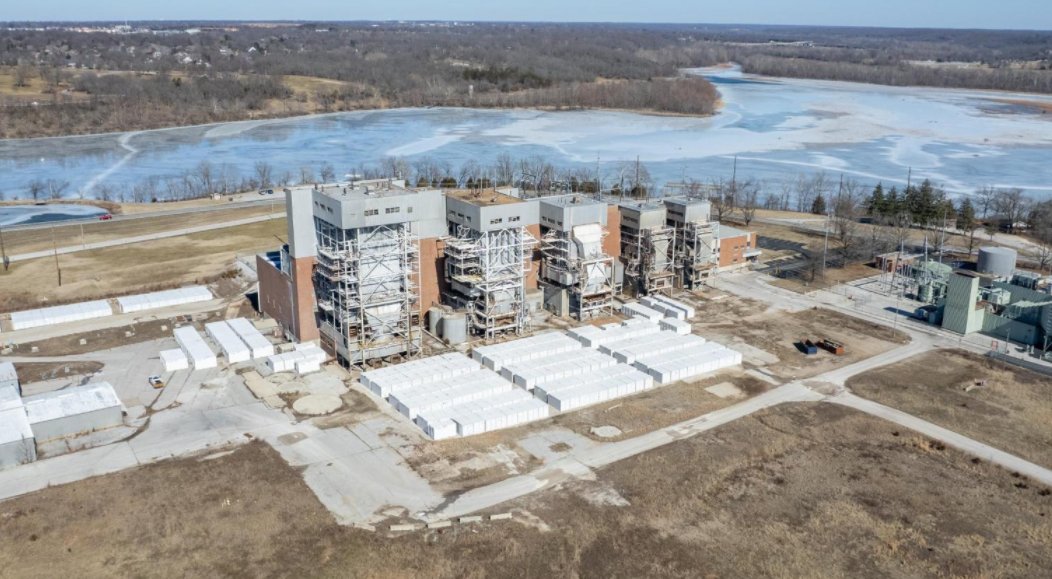 FuzzyPanda tweet media