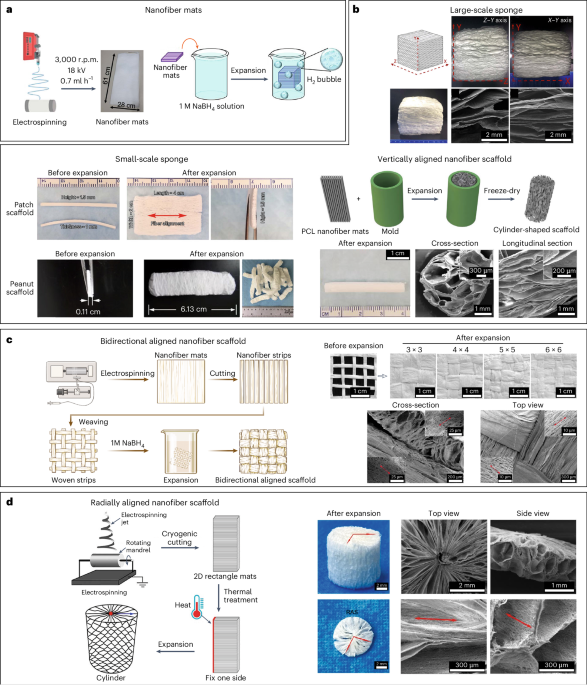 Nature Protocols tweet media