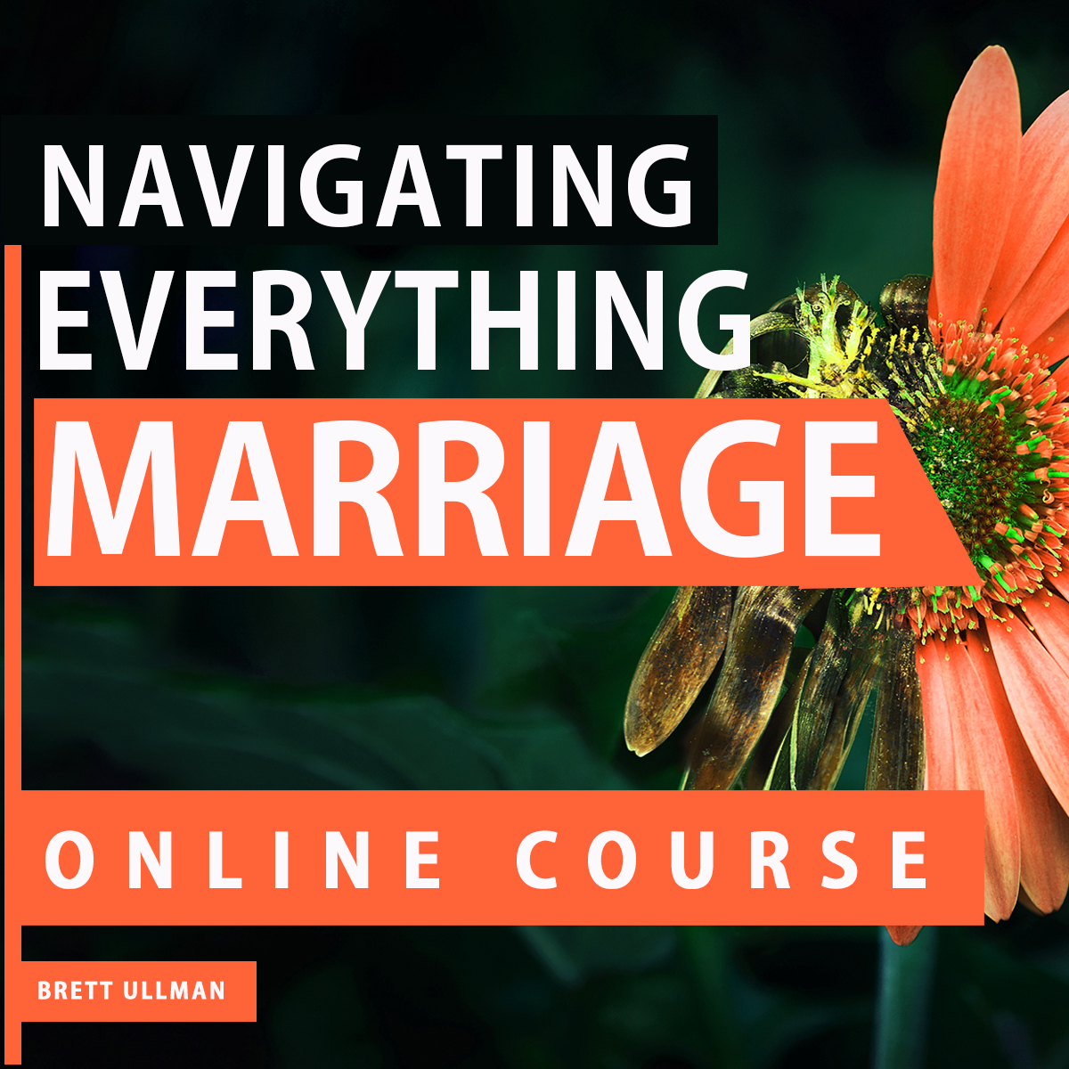 Brett Ullman tweet media