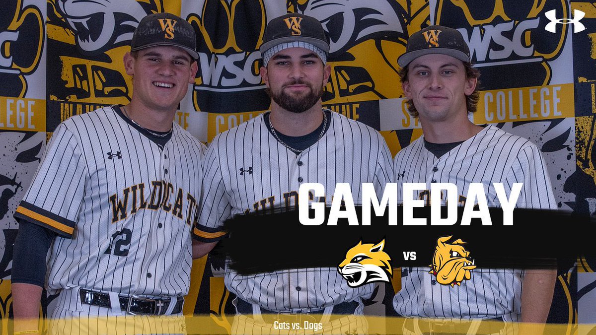 Wayne State Baseball tweet media