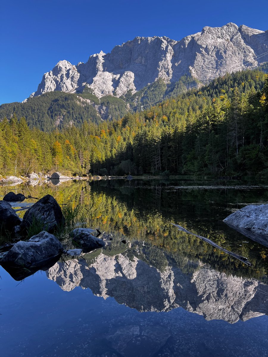 Damjan Dabo tweet media