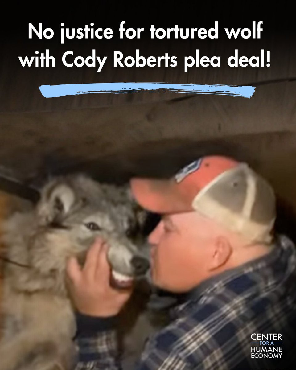 Center for a Humane Economy tweet media