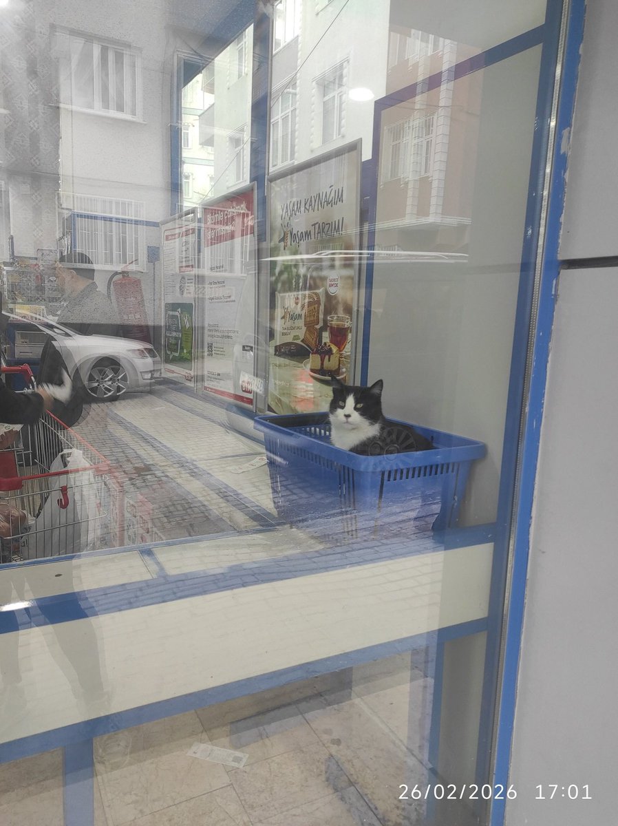 Biologist *nostraydogs tweet media