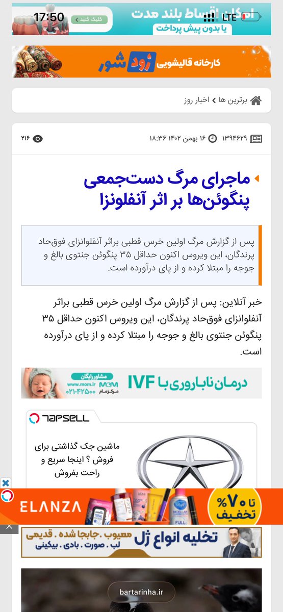 سناتور غورباغه tweet media