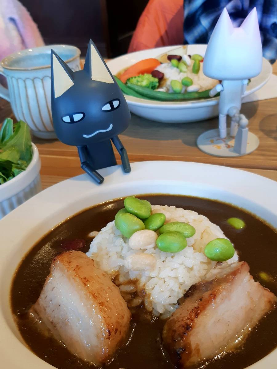 高尾駅に一番近い遊歩道梅林は満開でした。
高尾駅でお昼ごはん。トロは野菜カレー、クロは角煮カレーをいただきましたとさ🍛
高尾の梅まつりは3/14と15です。3週間も早かった～🤣
#どこでもいっしょ