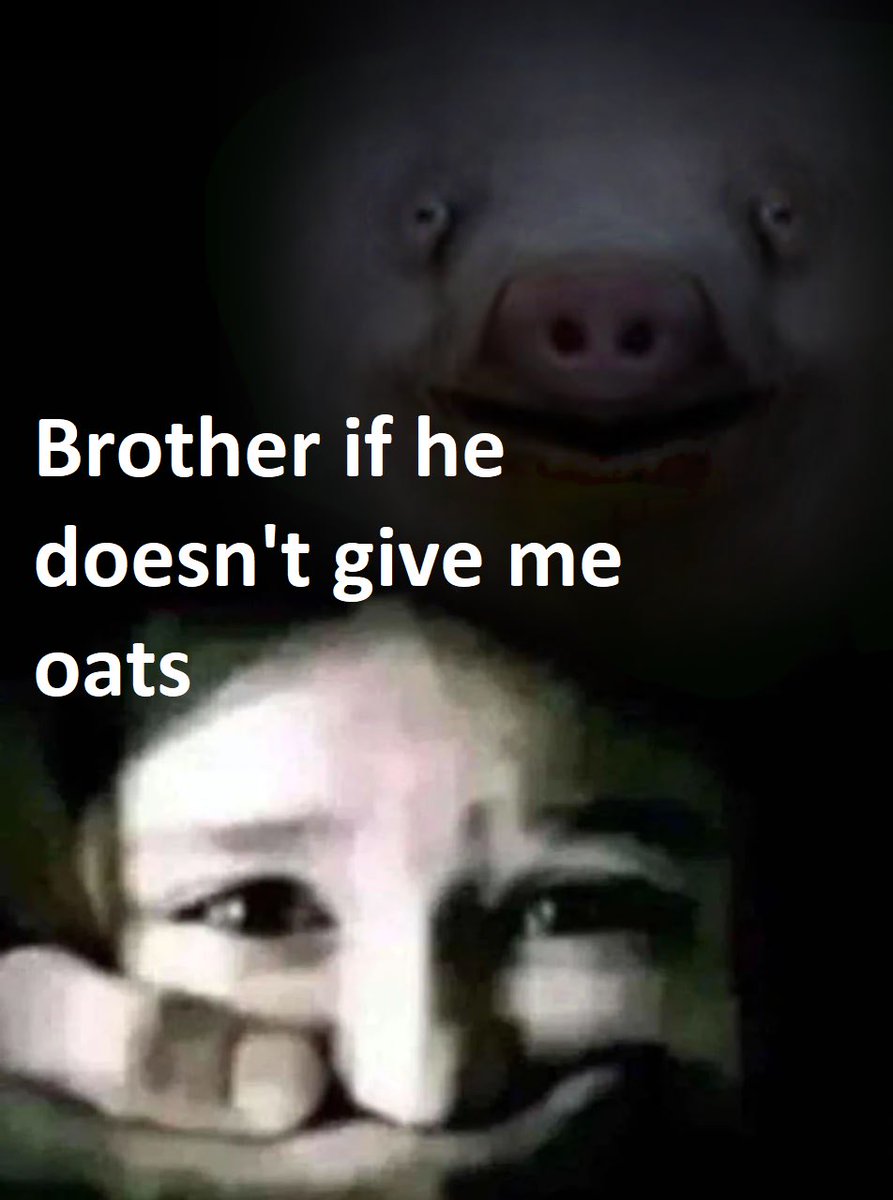 Fran Núñez / Ezra tweet media