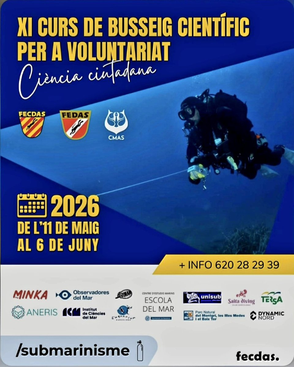 Boris Weitzmann tweet media