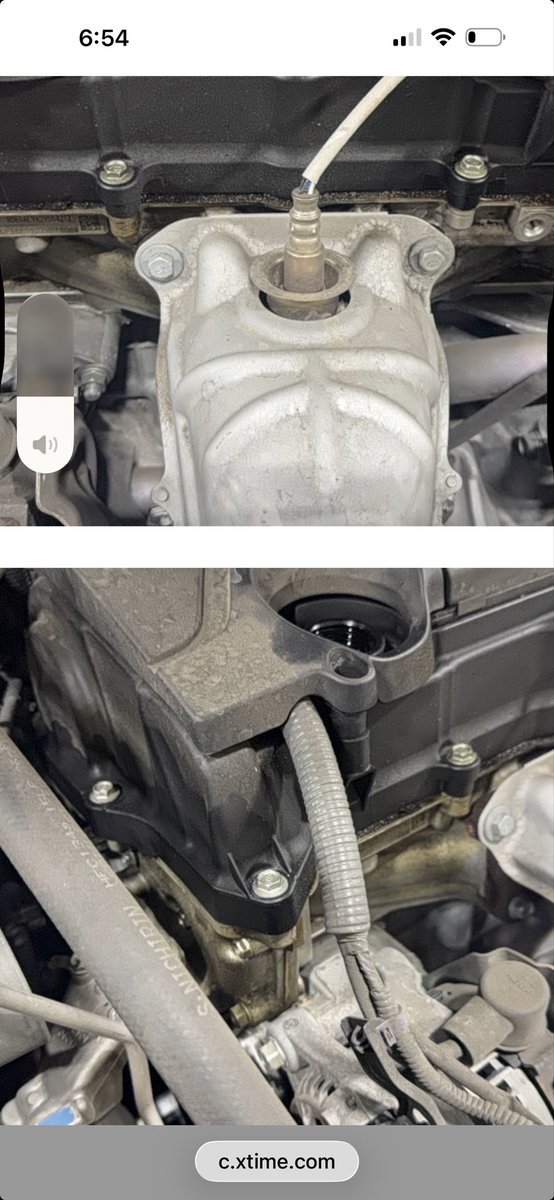 Mark Mamedly tweet media