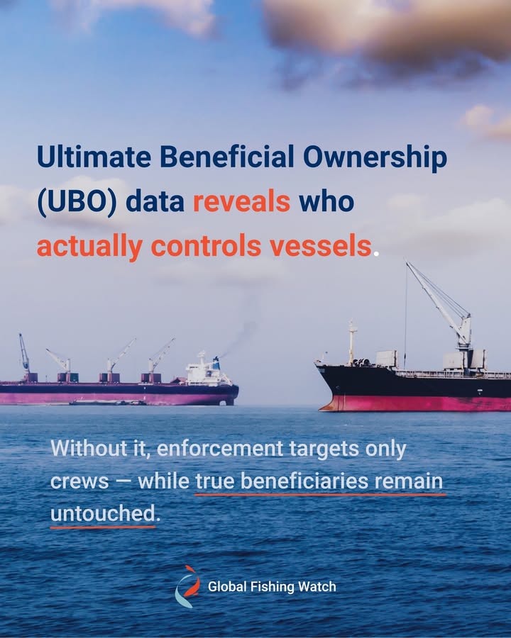 Global Fishing Watch tweet media