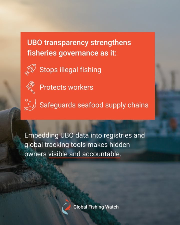 Global Fishing Watch tweet media