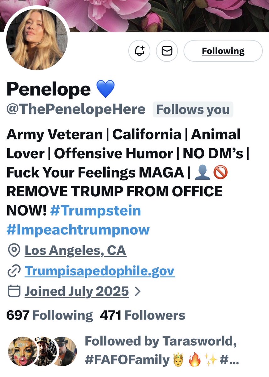 Turquoise Cat tweet media