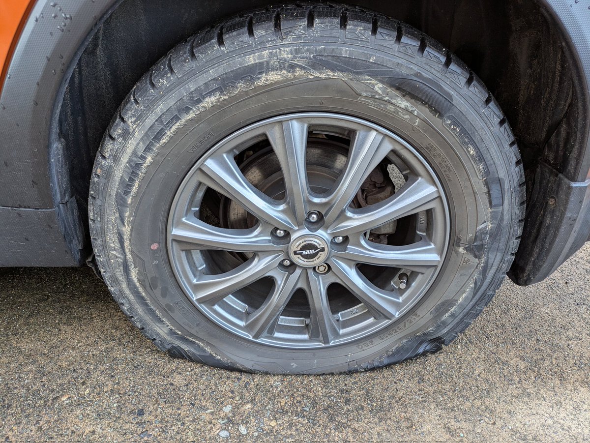 ポン吉 tweet media