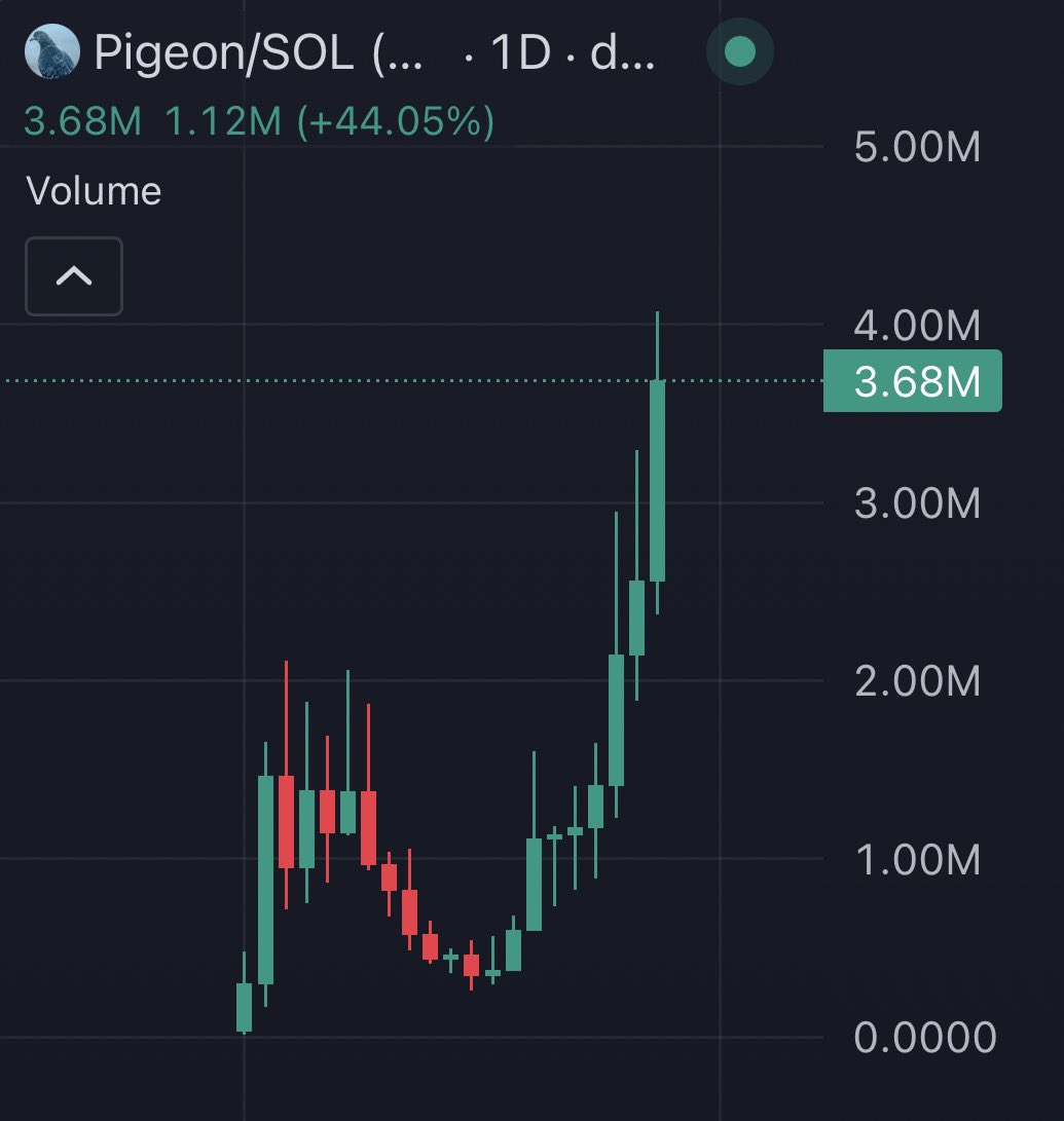 Gm to new $Pigeon ATH