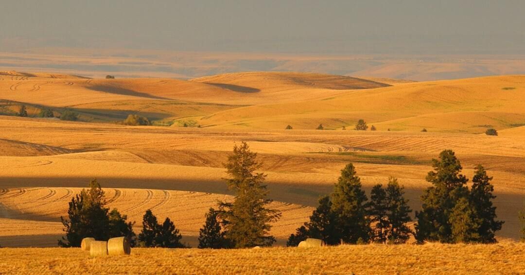 StreamABA's tweet photo. Idaho eliminated ABA from managed care and forced providers onto HCPCS codes.

Less than 30 days' notice. No crosswalk. No guidance on supervision billing.

Most ABA software broke because it hardcodes CPT 97151-97158.

https://t.co/aay2yHrraw https://t.co/AhwQxancuO