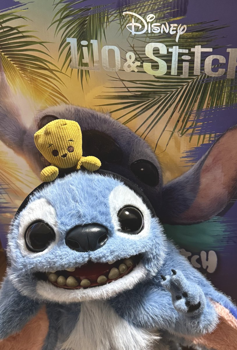 ホットトイズの『スティッチ』可愛すぎ‼️ 頭にグルート乗せても最高に