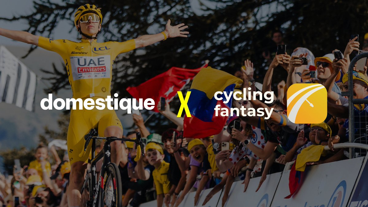 Domestique tweet media