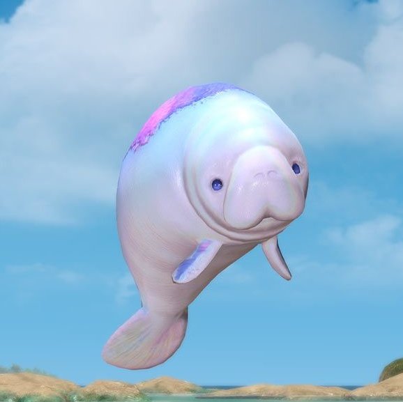 새로운 푸누티 진짜 웃기네
앞으로도 쭉 계속 푸누티 만들죠? 100마리 만들죠?