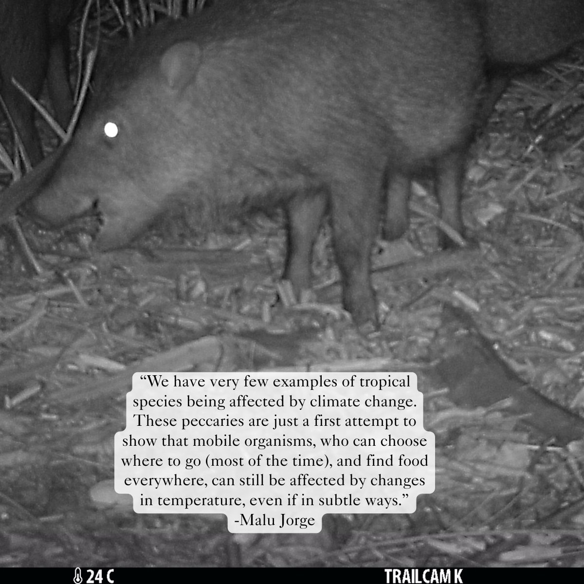 EvolutionVU tweet media