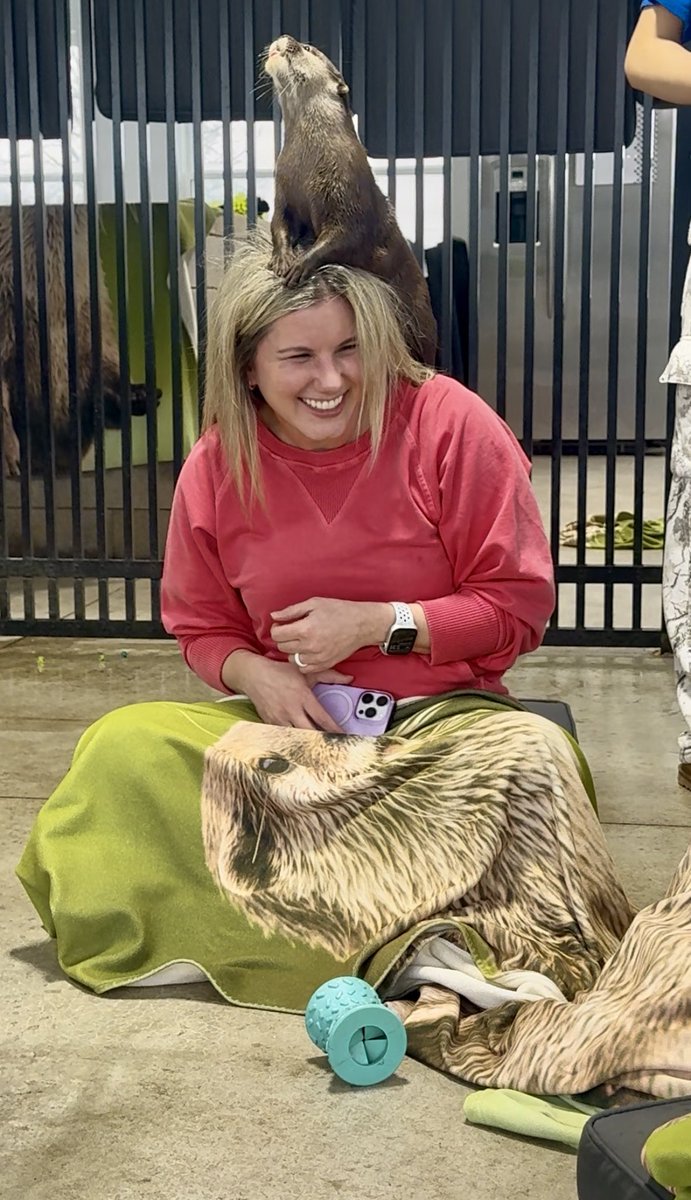 Steve 🤙 tweet media