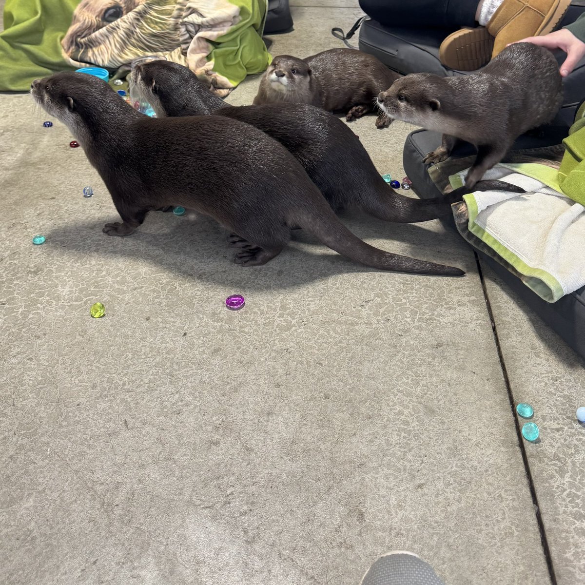 Steve 🤙 tweet media