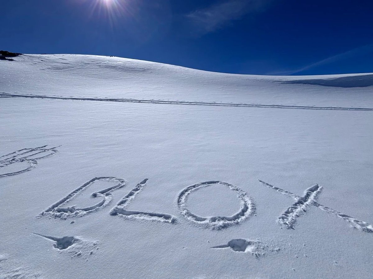 RenewaBlox tweet media