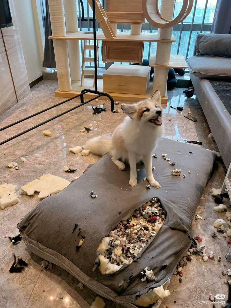Who could have done this?