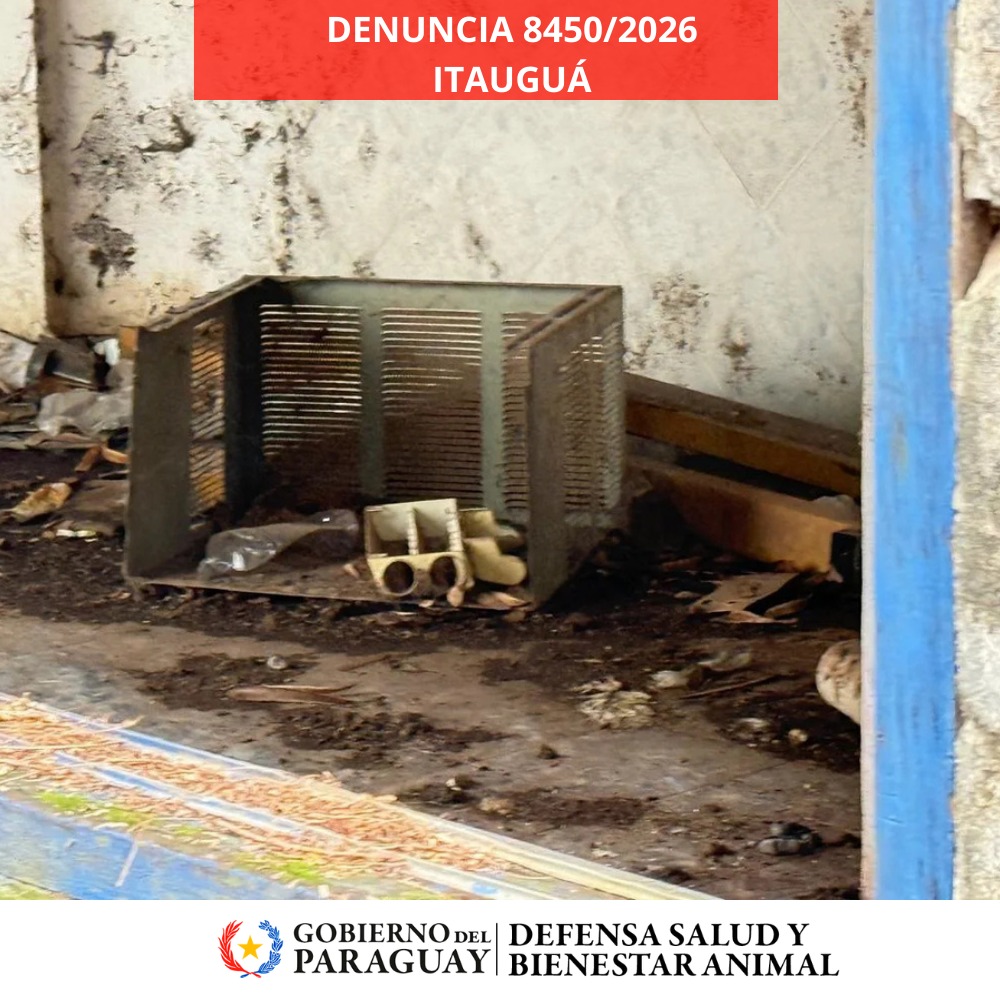 Dirección Nacional de Defensa Animal tweet media