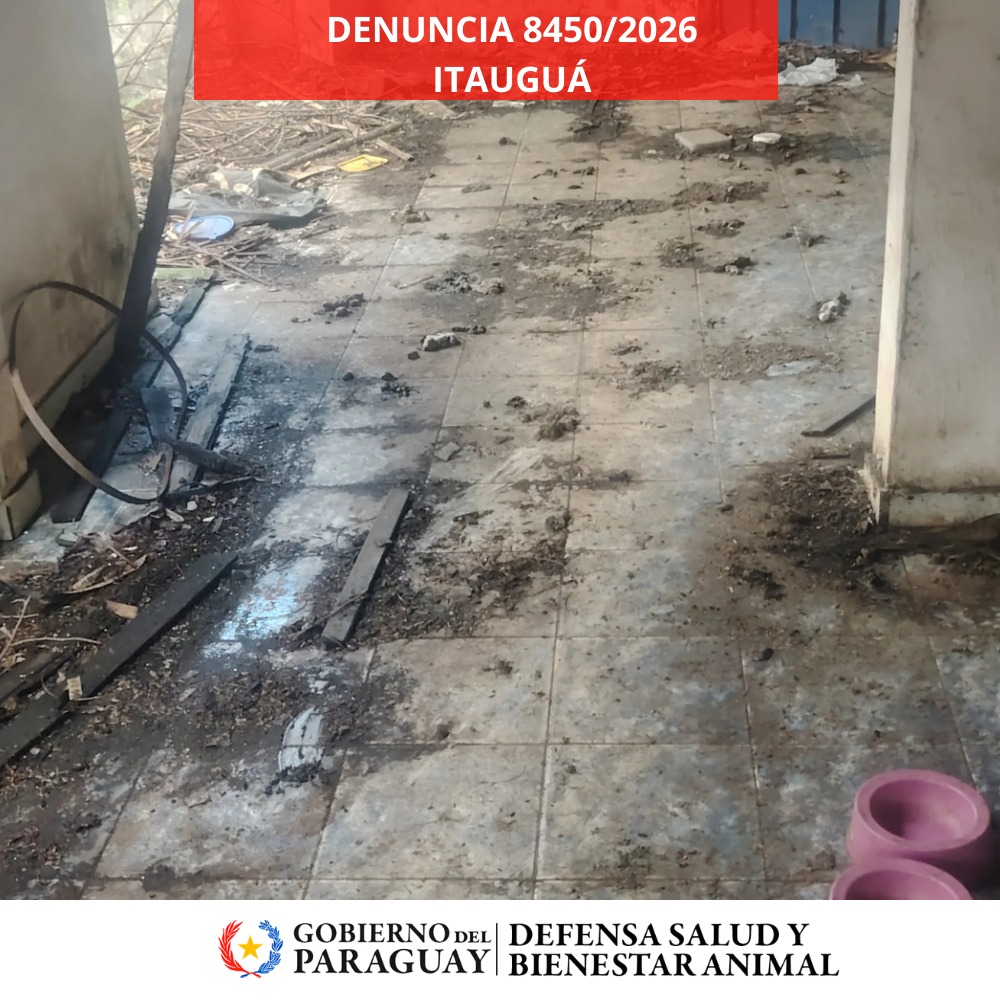 Dirección Nacional de Defensa Animal tweet media