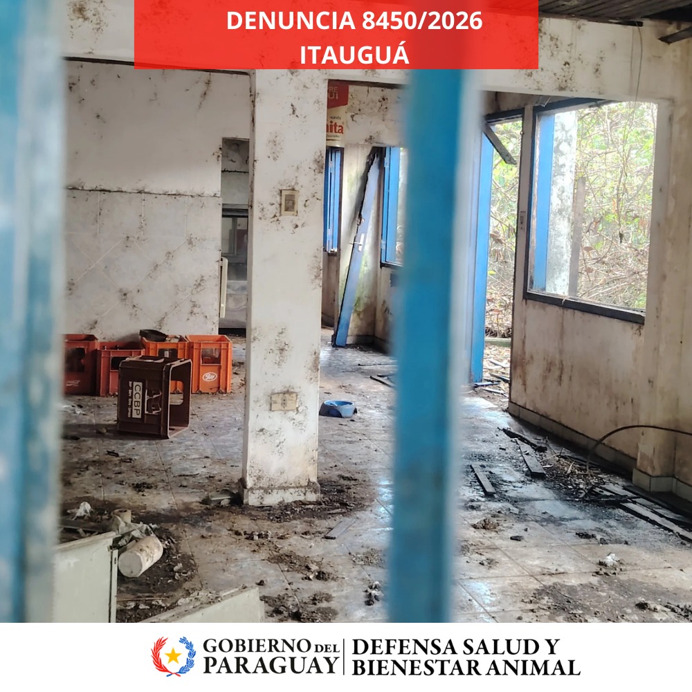 Dirección Nacional de Defensa Animal tweet media