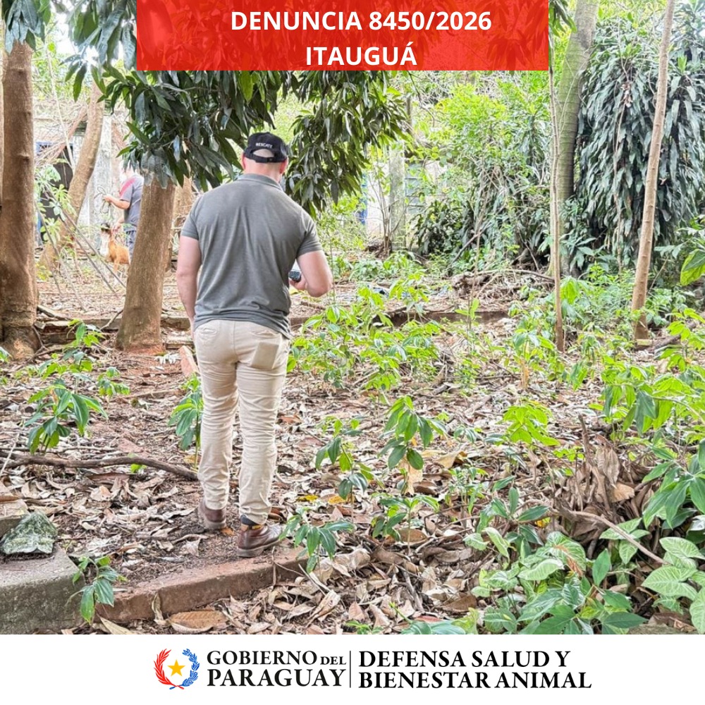 Dirección Nacional de Defensa Animal tweet media