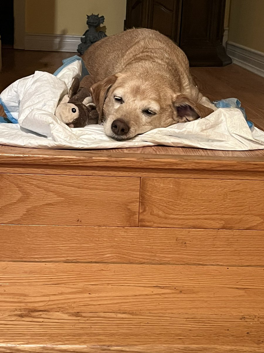 Alison Anchor tweet media