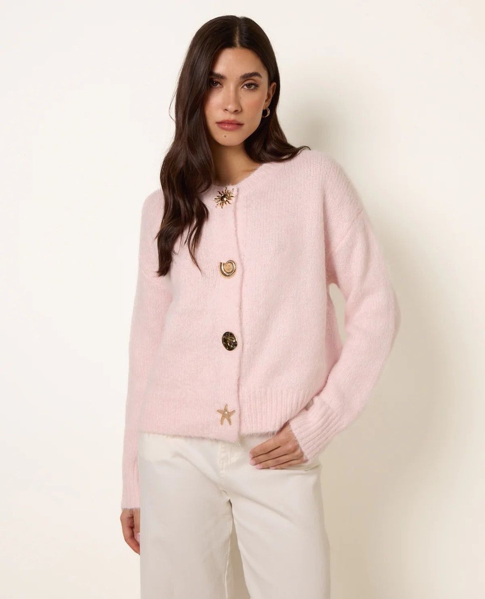 BlueVanilla tweet media