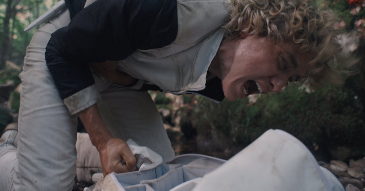 jão jurídico jogos vorazes tweet media