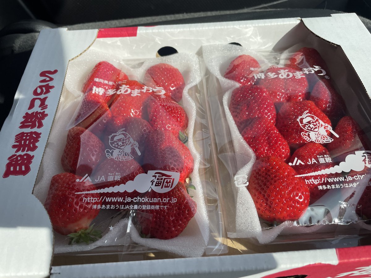 仕事帰りにいちご買いました いよいよ「あまおう」の季節になってき