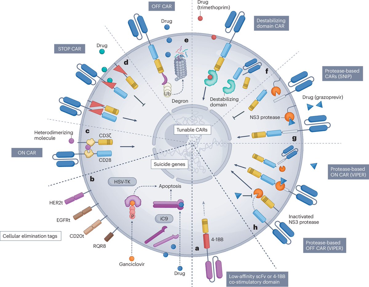 Nature Reviews Drug Discovery tweet media
