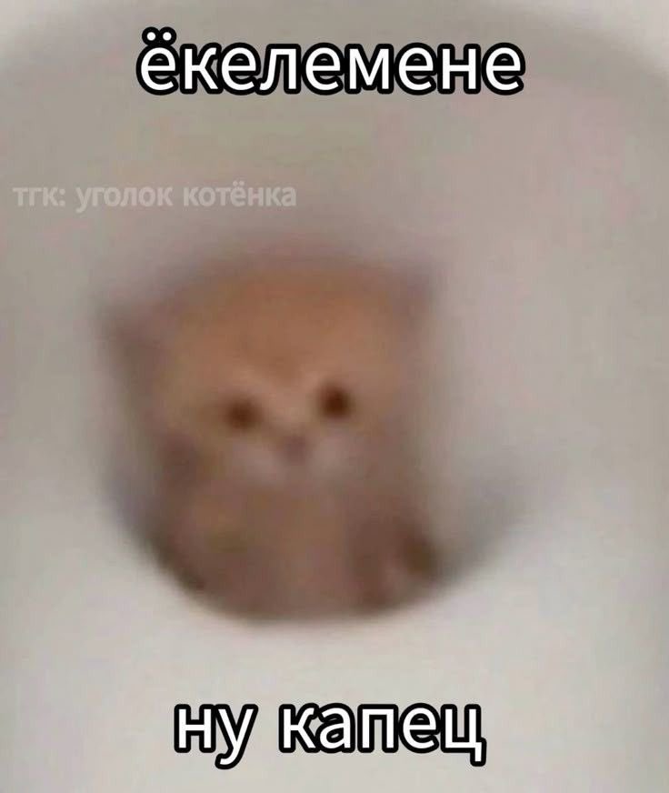 мнимый тип 🦇 tweet media