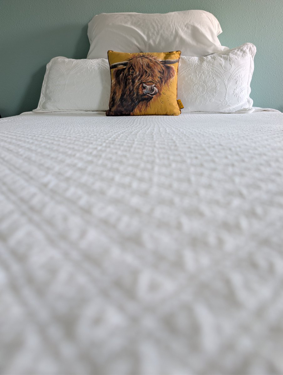 IMake_MyBed's tweet image. #bedinspo #madebed #makeyourbed #imakemybed #googlepixelphotography