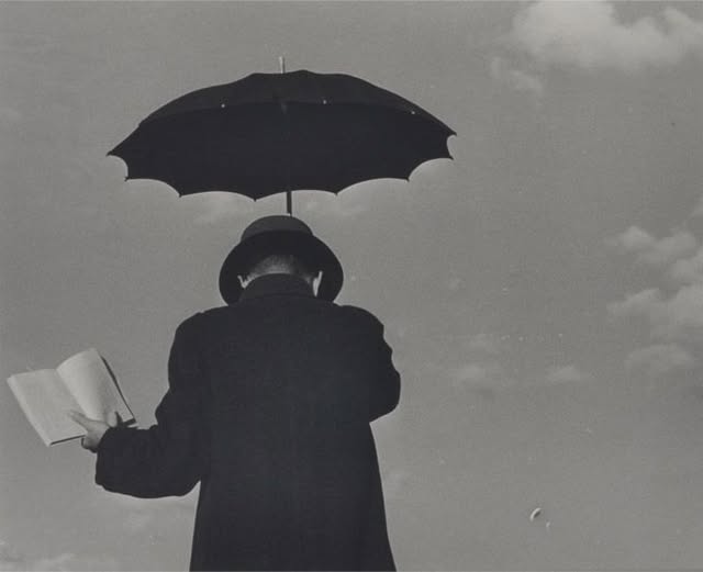 literland tweet media