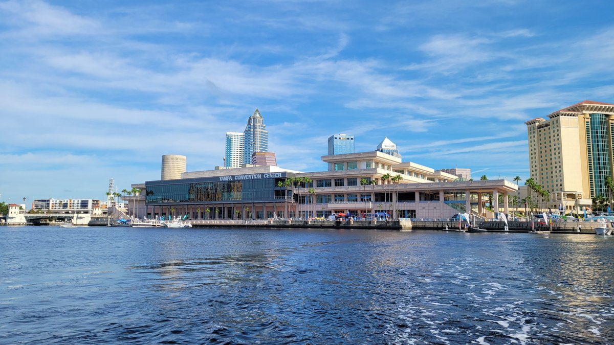 IBEXShow tweet media