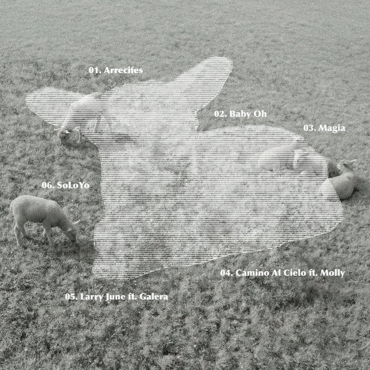 EL GENERAL tweet media