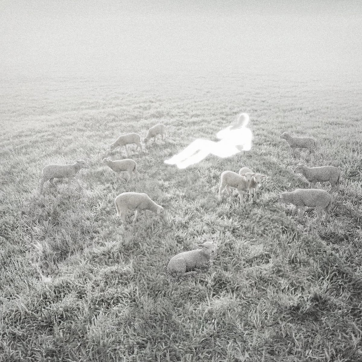 EL GENERAL tweet media