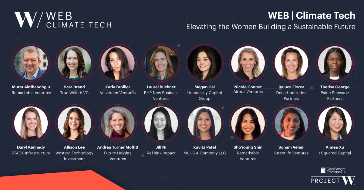 Project W tweet media