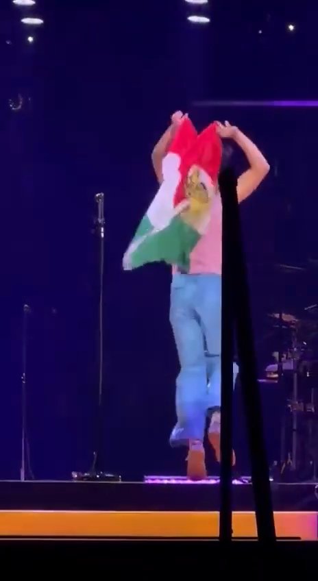 🧸🏡zara tweet media